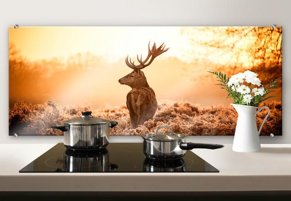 Muurdecoratie foto op aluminium hert gewei keukenachterwand